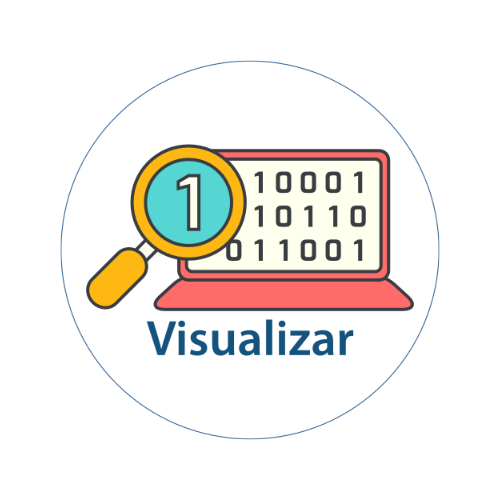 visualizar